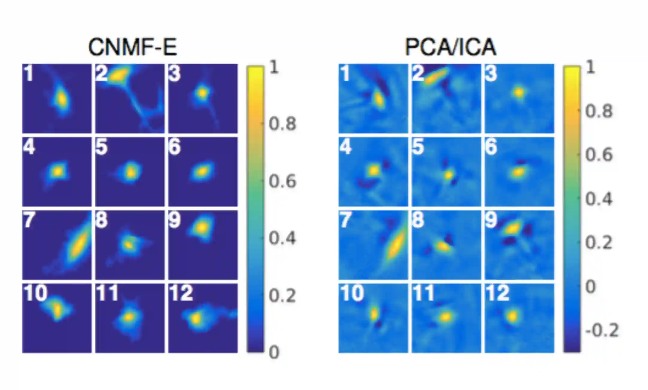Neural Imaging-20250805221010121